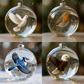 🐦50% OFF✨Nature's Bird Glass-Look Sphere Ornament